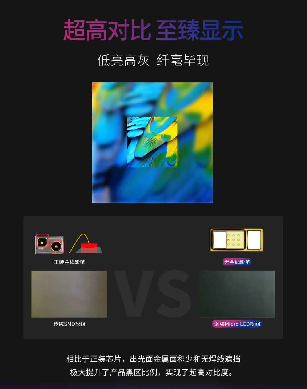 一期一会 | 一图读懂888电子·利晶MIP新品系列