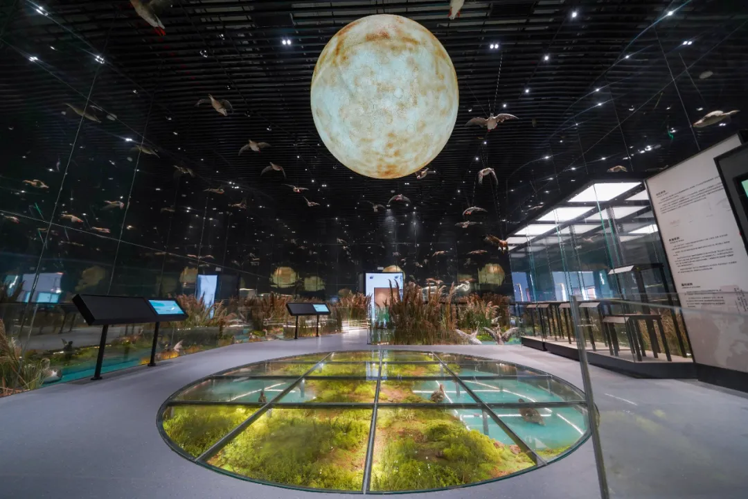 888电子(中国游)有限公司官网