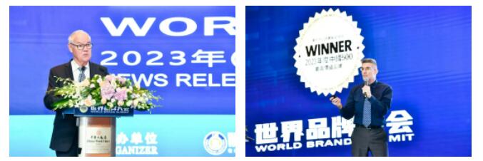 权威认证 888电子入选中国500最具价值品牌